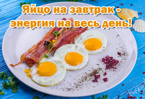 Яйцо на завтрак — энергия на весь день